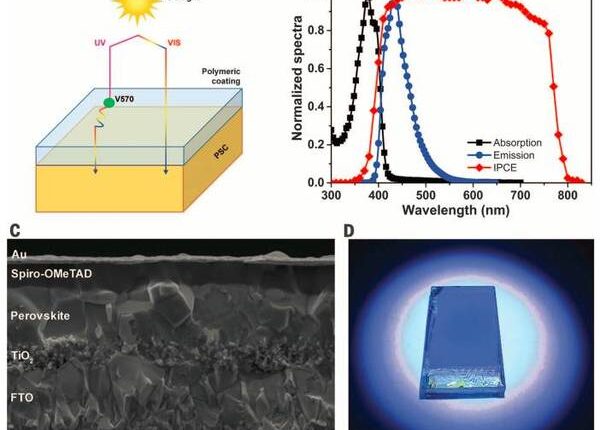 Perovskite Solar Cell Efficiency